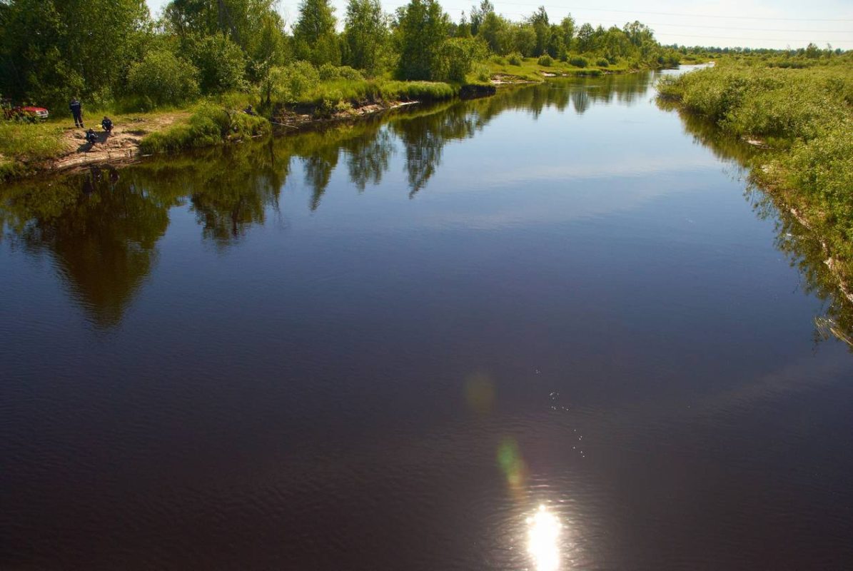 Река буды. Река Ствига. Горынь (река). Реки Минской области. Кошелёвский пруд.